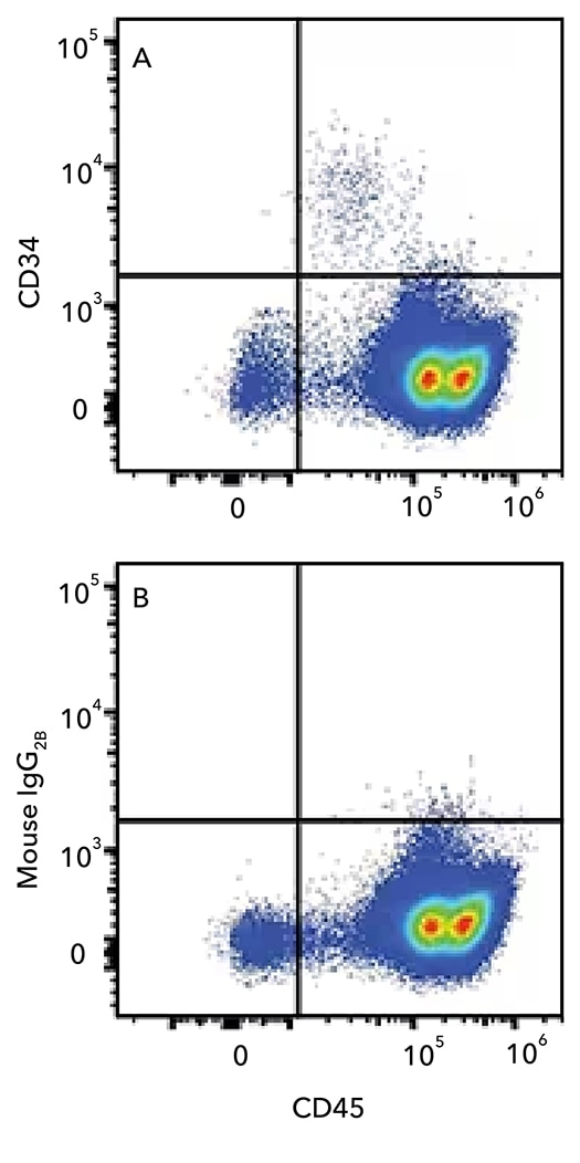 Flow cytometry analysis of human PBMCs stained with (A) Mouse Anti-Human CD34 Monoclonal Antibody or (B) IgG2B Isotype Control. 