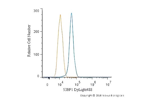 Flow Cytometry analysis of intracellular staining with DyLight 488-conjugated 53BP1 antibody (blue line) in Neuro2A cells with m