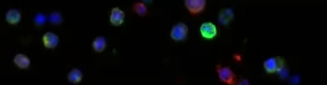 LC MS/MS Mass Spectrometry Technique banner