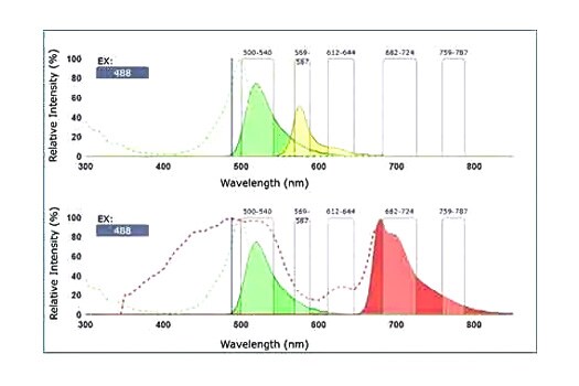 Flow cytometry