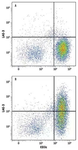 FC analysis of PBMCs treated with or without phytohemagglutinin and stained with LAG-3 antibody.