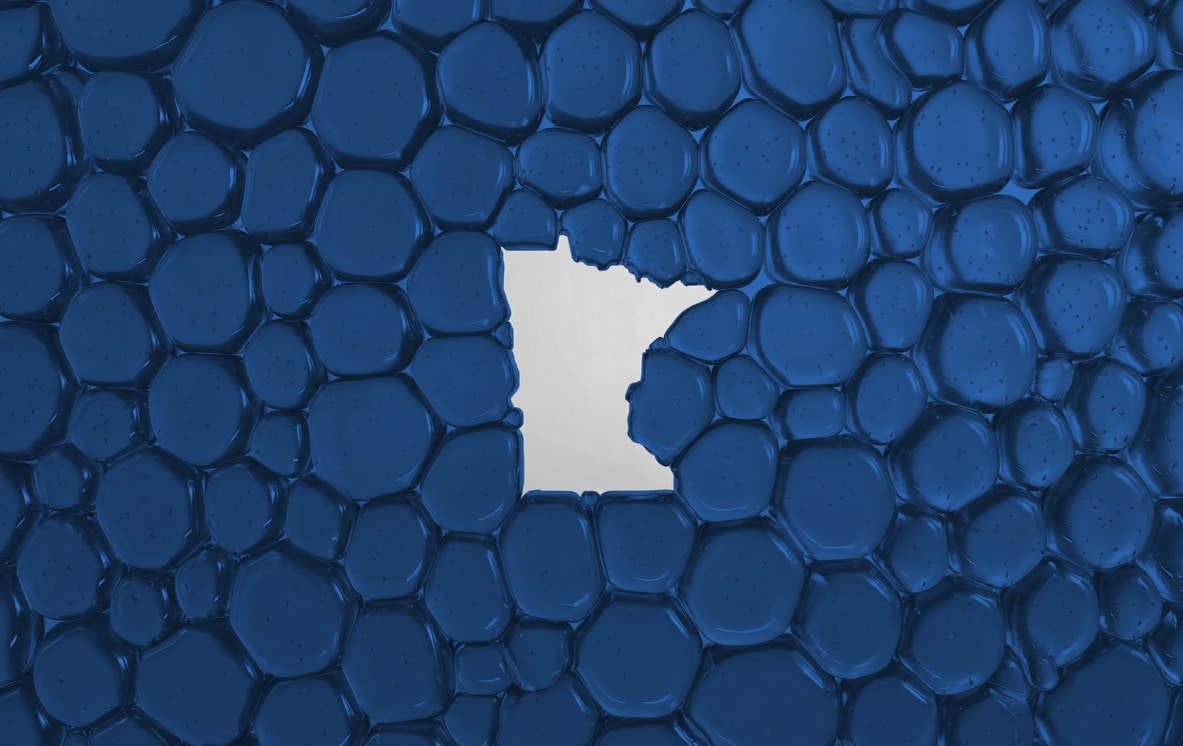 Minnesota Map Blue