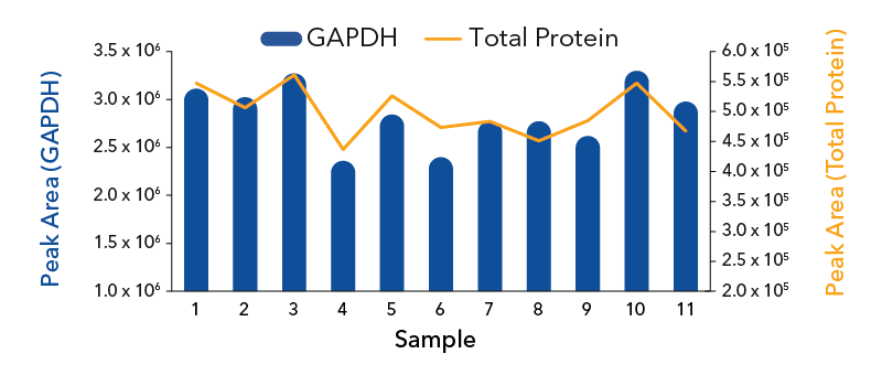 GAPDH Total Protein Graph