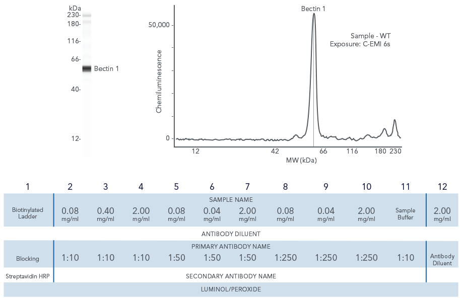 Example of how to annotate your data
