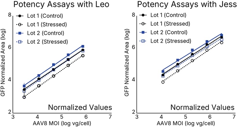 Gene Therapy Potency Assays on Leo and Jess