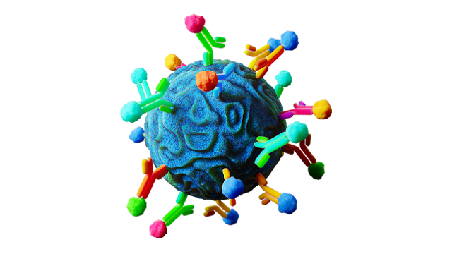 Antibody Conjugation Homepage Teaser