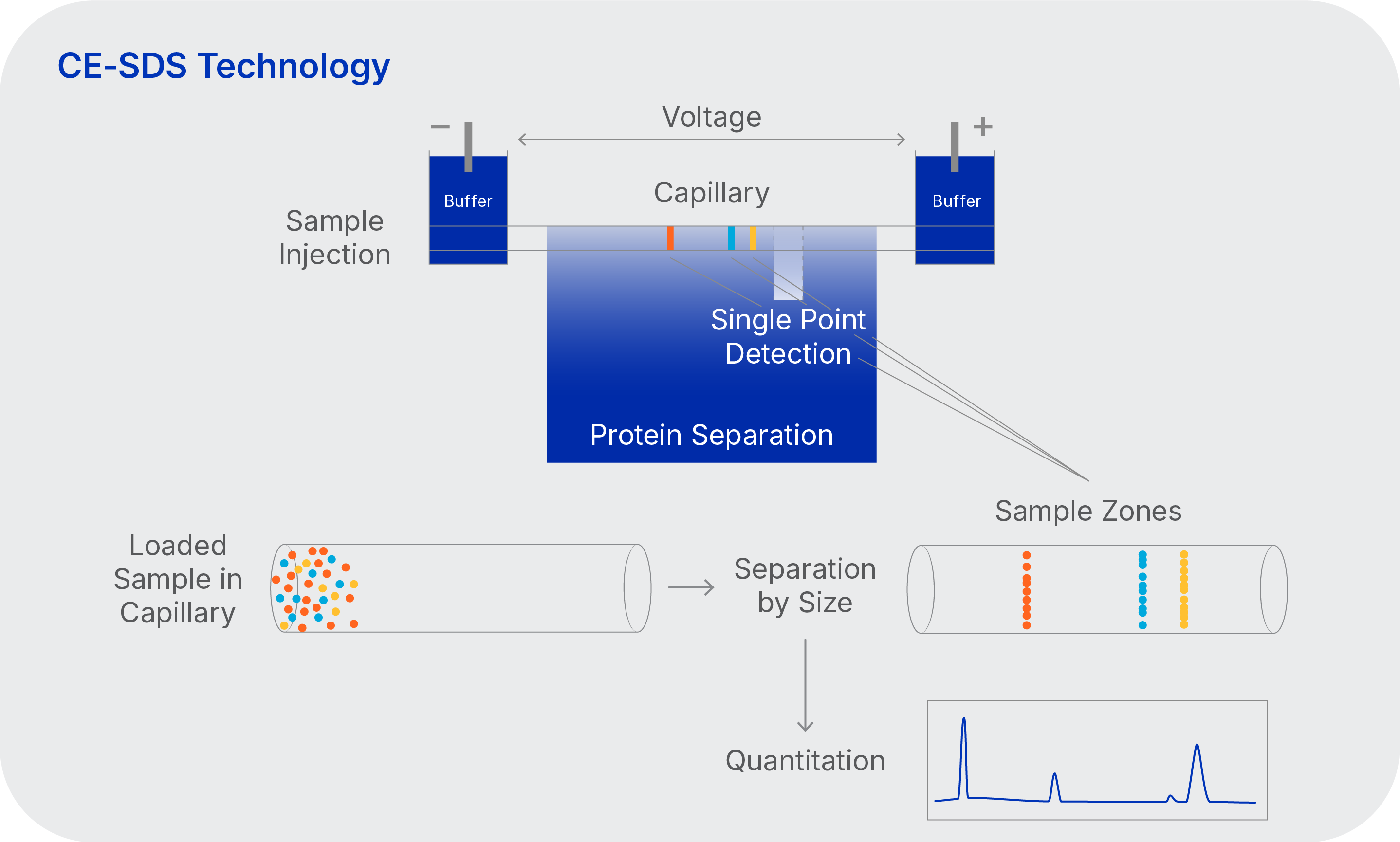 CE-SDS workflow on Maurce iCE Instruments