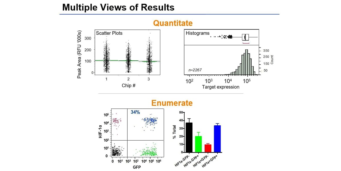 Multiple vides of Single-Cell Westerns data