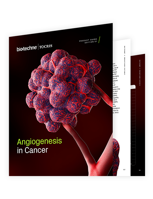 Angiogenesis in Cancer Research Product Guide