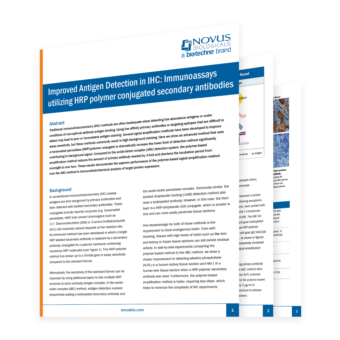 Thumbnail for Technology Brief on HRP-Polymer Conjugate