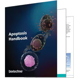 Apoptosis Handbook