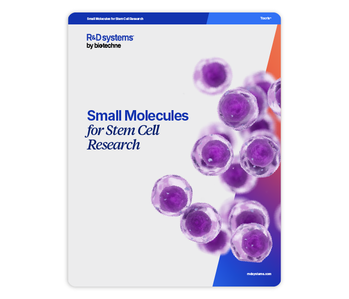 Small Molecules for Stem Cell Research Brochure Literature Page Thumbnail