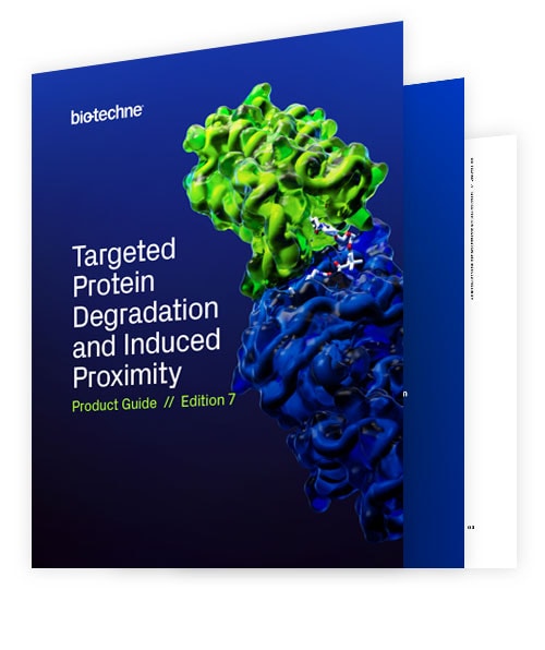 Targeted Protein Degradation and Induced Proximity brochure thumbnail