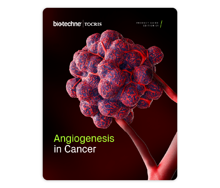 Angiogenesis in Cancer Research Product Guide