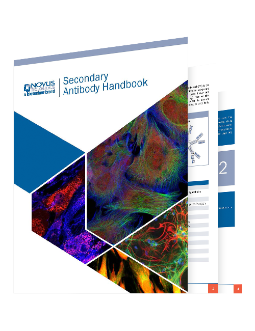 Secondary Antibody Handbook by Novus Biologicals