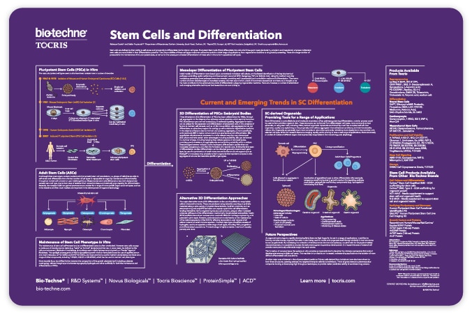 Bio-Techne Tocris Stem Cells and Differentiation Poster Img