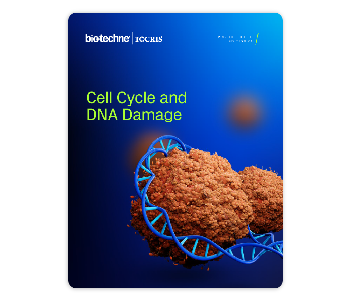 Cell Cycle and DNA Damage Research Product Guide