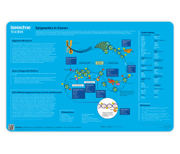 Epigenetics in Cancer Life Science Poster