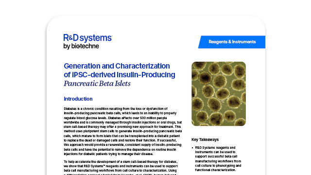 Generation and Characterization of iPSC-Derived Insulin-Producing Pancreatic Beta Islets Application Note.