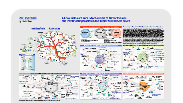 Look Inside Tumor Poster Card