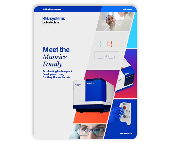 Maurice family brochure thumbnail