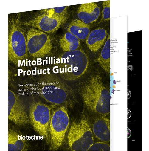 A complete MitoBrilliant product guide, with protocols and data for using our innovative mitochondrial probes in flow cytometry,
