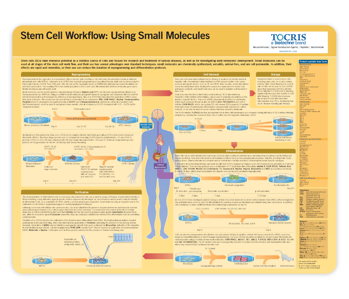 Stem Cell Workflow: Using Small Molecules Life Science Poster