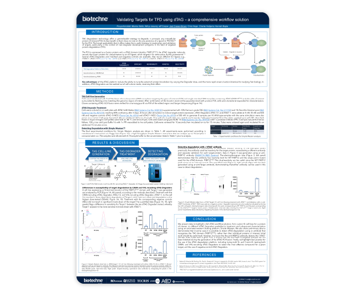 Validating Targets for TPD Using dTAG Scientific Poster