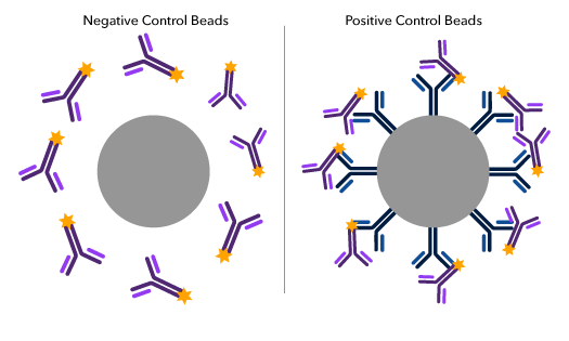 Negative and positive control compensation beads in flow cytometry applications.