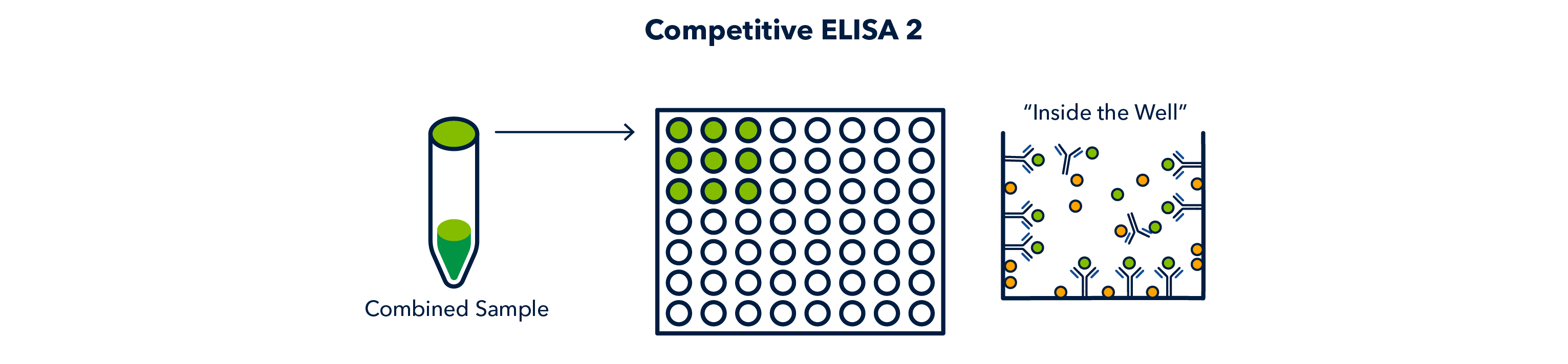Figure 18 competitive ELISA