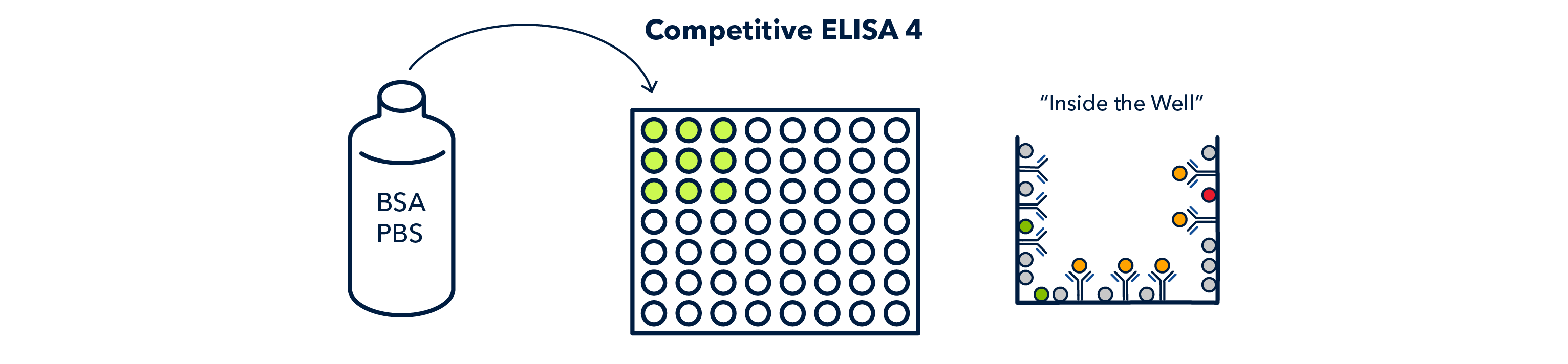 Figure 20 competitive ELISA