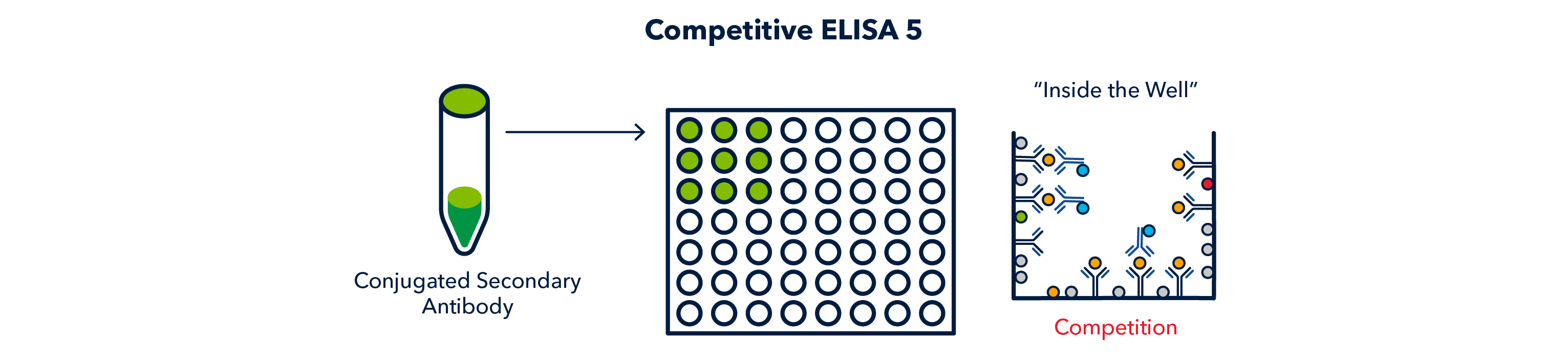 Figure 21 competitive ELISA