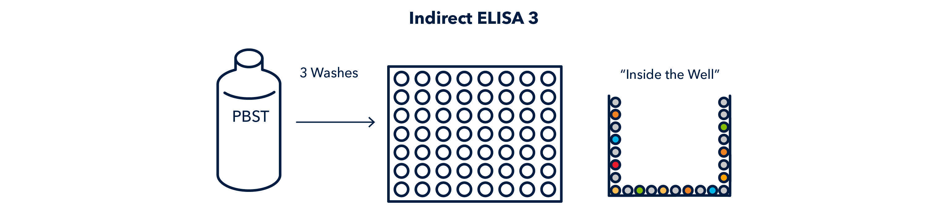 Figure 4 Indirect ELISA