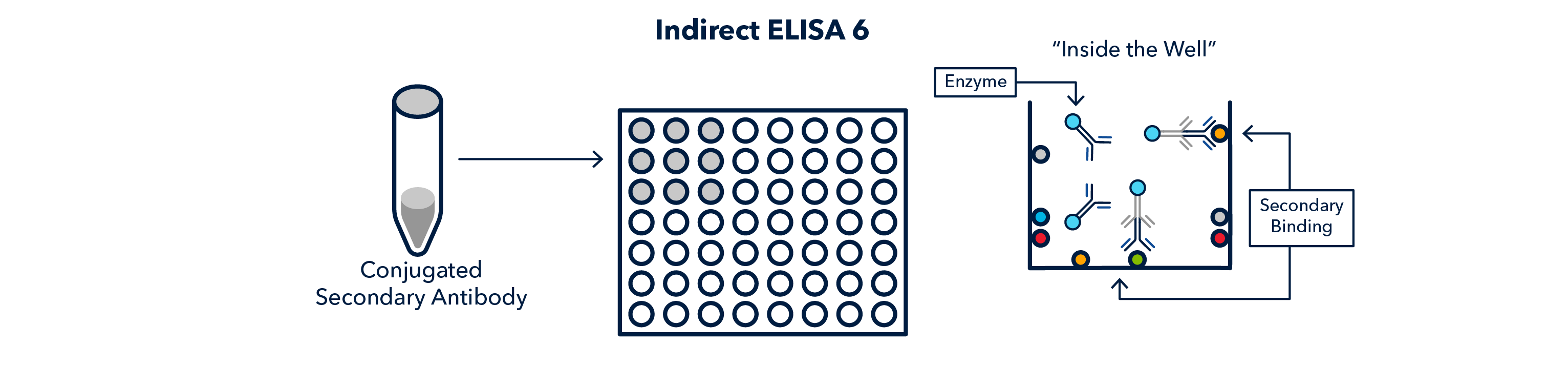 Figure 7 Indirect ELISA