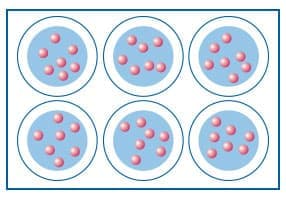 Multiwell plate with coverslip having cultured cells