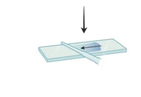 Smear preparation on a glass slide