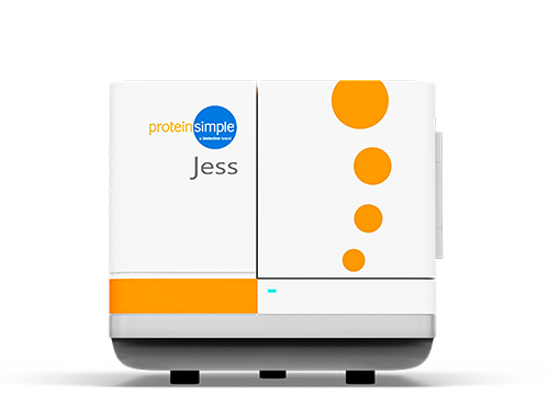 Figure 5: Jess instrument