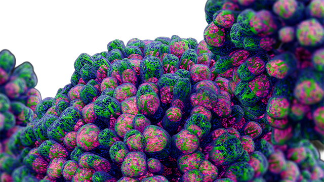 Organoid Blob Teaser