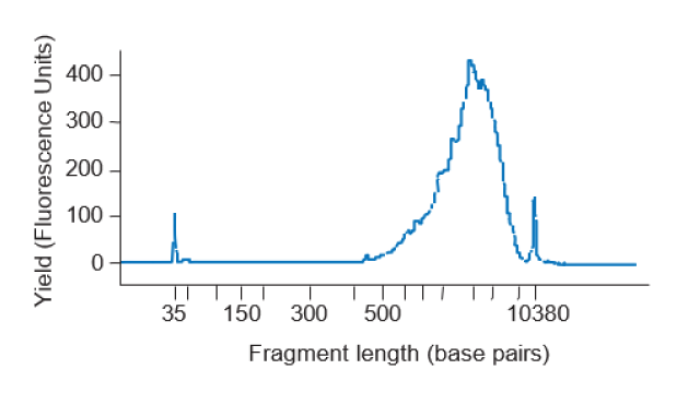 Line graph showing a representative Bioanalyzer trace of successfully amplified FLASH-seq cDNA from a HEK cell (19 cycles) using SEQURNA