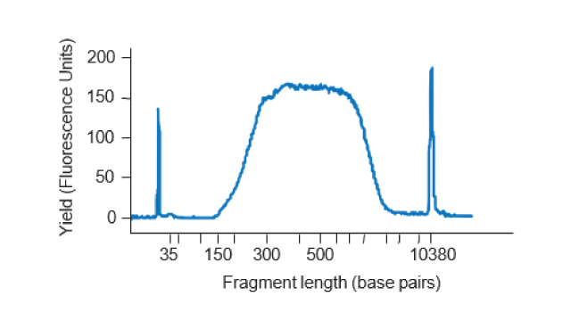 Line graph showing a representative Bioanalyzer trace of amplified library from a single HEK293 cell (19 cycles) using SEQURNA