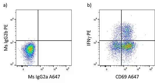 Intracellular staining for IFN γ using detergents