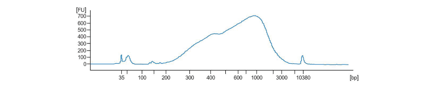 Line graph showing a representative Bioanalyzer trace of successfully amplified Smart-seq3xpress cDNA from a HEK cell using SEQURNA.