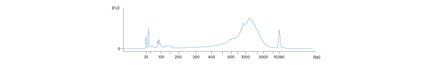 Line graph showing a representative Bioanalyzer trace of successfully amplified Smart-seq3 cDNA from a HEK cell using SEQURNA.