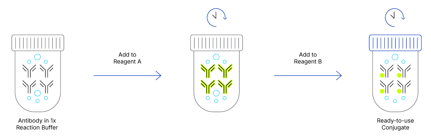 Visual Protocol of LinkAble™ Antibody Conjugation Kits