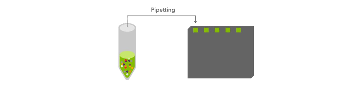 Figure 4: sample is loaded onto gel