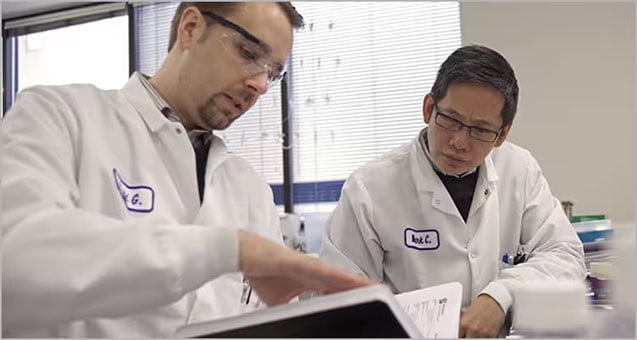 Custom Antibody services
