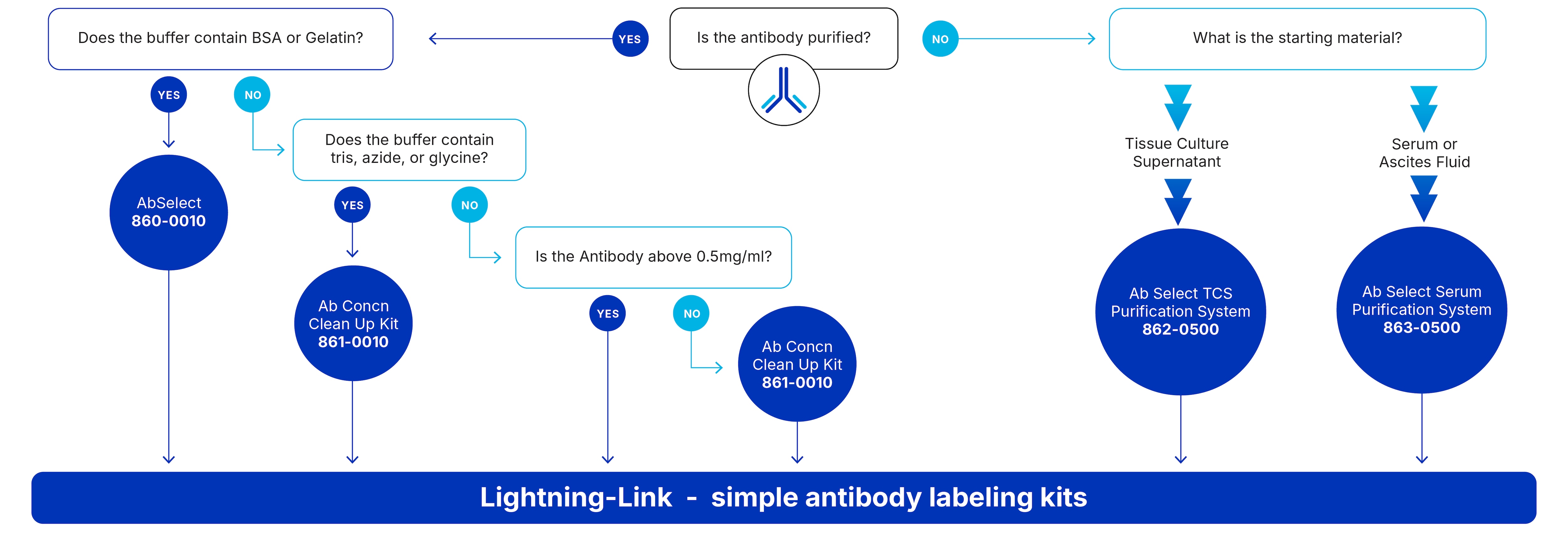 Antibody Purification