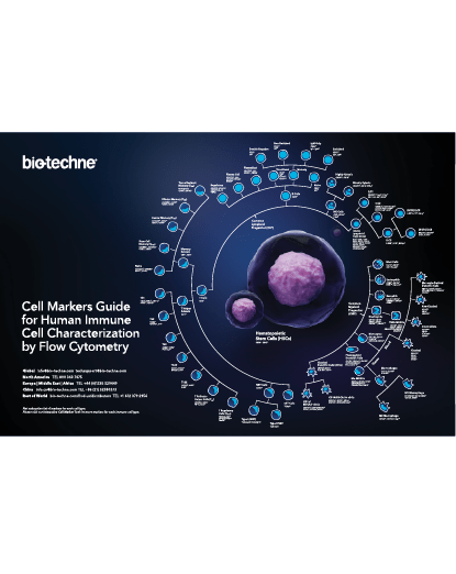 Cell Markers Guide to Human Immune Cell Characterization thumbnail