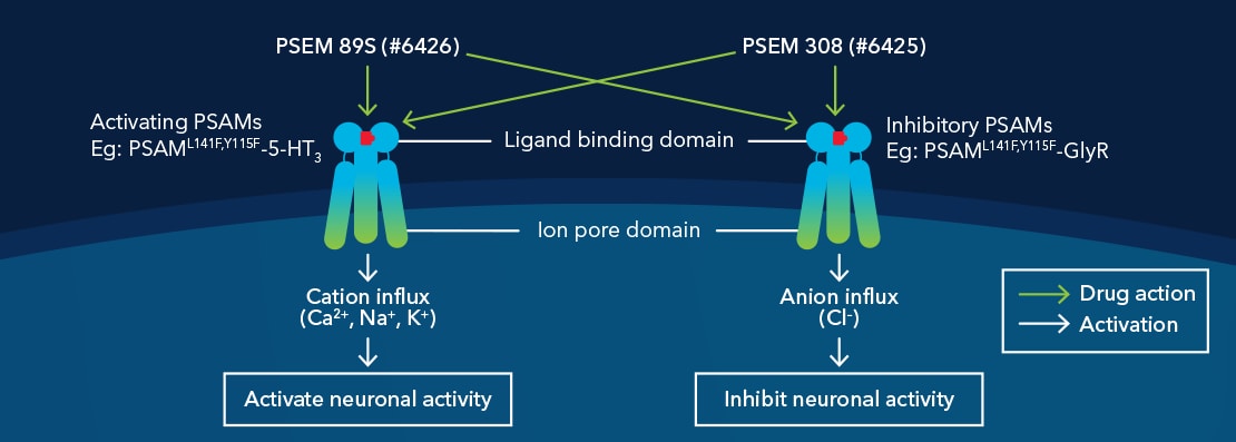 The mechanism of action of PSEMs at PSAMs