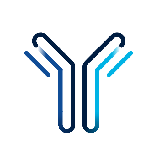 Antibody icon